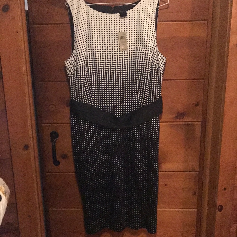 Ann Taylor dress
